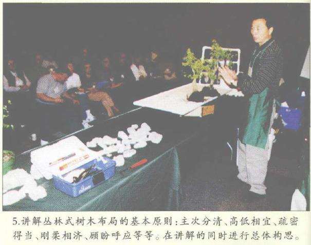 图解 美国盆栽大会制作水旱盆景的12个过程