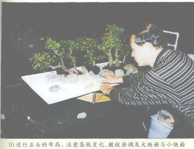 图解 美国盆栽大会制作水旱盆景的12个过程