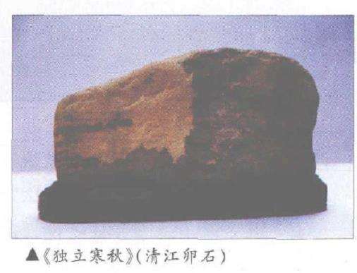 记枝江市赏石协会会长3