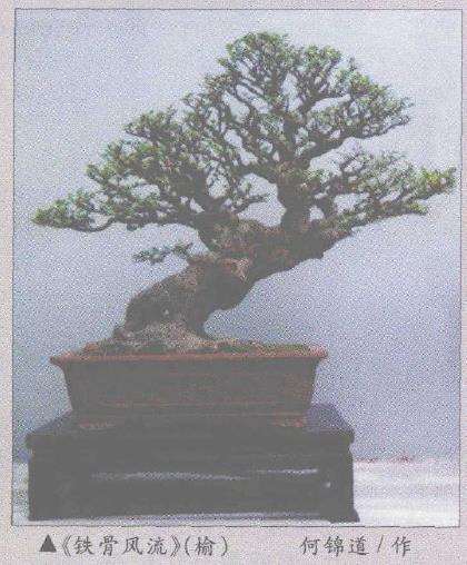 第五届全国盆景评比展览已经结束