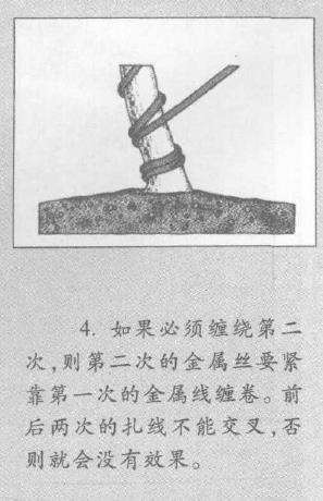 图解 盆景枝干怎么蟠扎的3个技巧