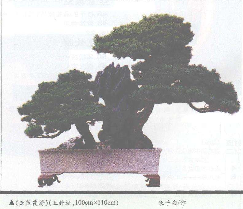 盆景艺术流派含义有如下四个方面