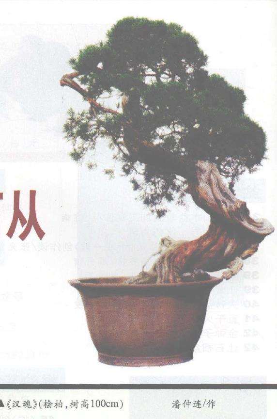 盆景艺术流派含义有如下四个方面