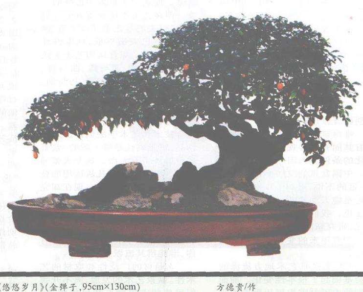 以发展的水准来审视当今盆景创新流派理论