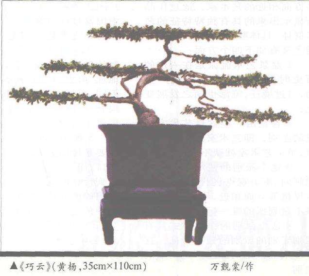 以发展的水准来审视当今盆景创新流派理论