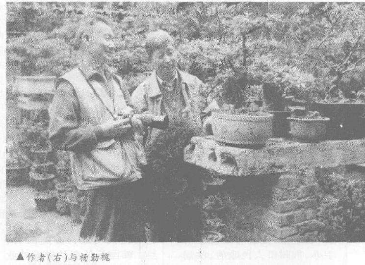 他摄影有成 花卉盆景摄影不错