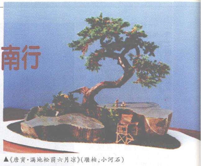 赏张夷逸品盆艺盆景有感