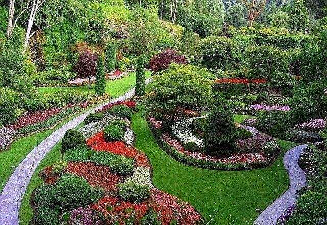 园林绿化工程中苗木成活率的2个主要影响因素