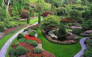 园林绿化工程中苗木成活率的2个主要影响因素