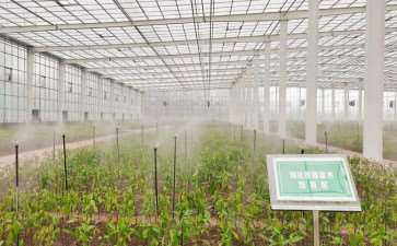 现代林业发展中林业技术创新推进策略