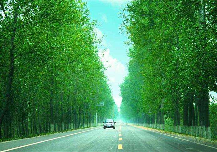 现代林业发展视角下林业技术创新的6个重要性