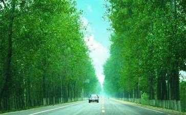 现代林业发展视角下林业技术创新的6个重要性