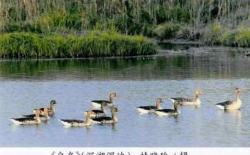 武汉市蔡甸区沉湖湿地自然保护区