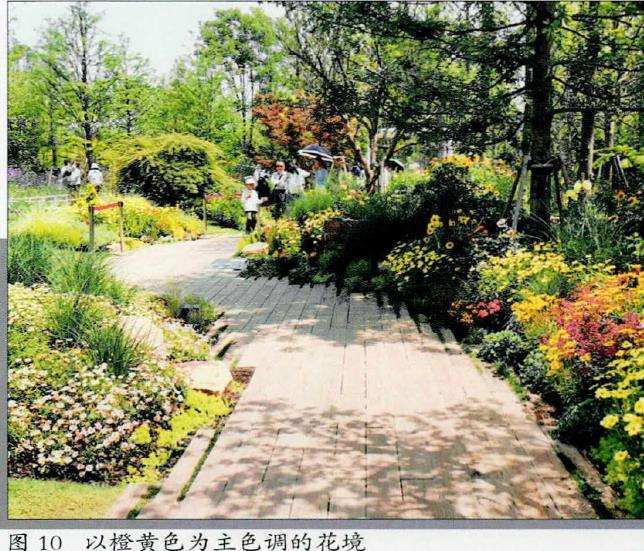 花境平面设计 花丛是构成花境的基本单位