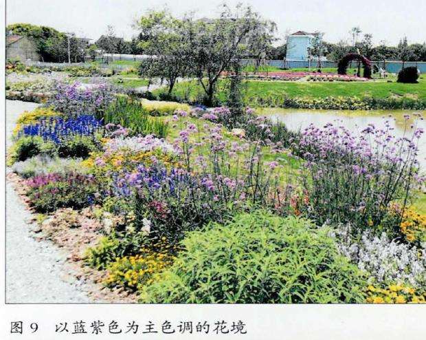 花境平面设计 花丛是构成花境的基本单位