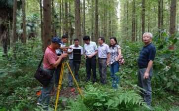 加强林业技术在森林防火中的3个应用对策