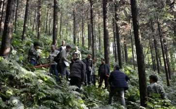 对森林防火工作的2个基本阐述