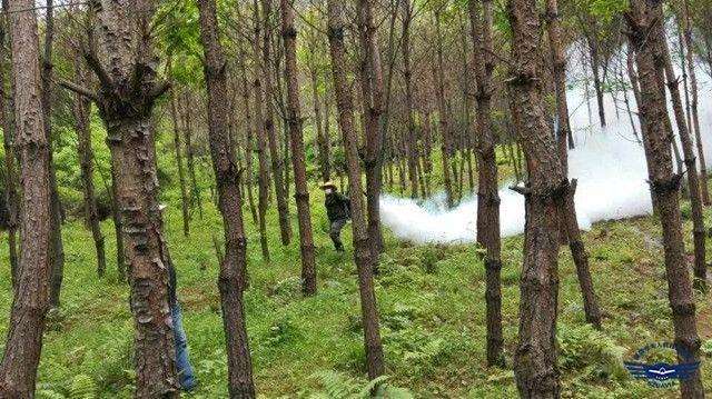 林业病虫害怎么发生的4个原因分析