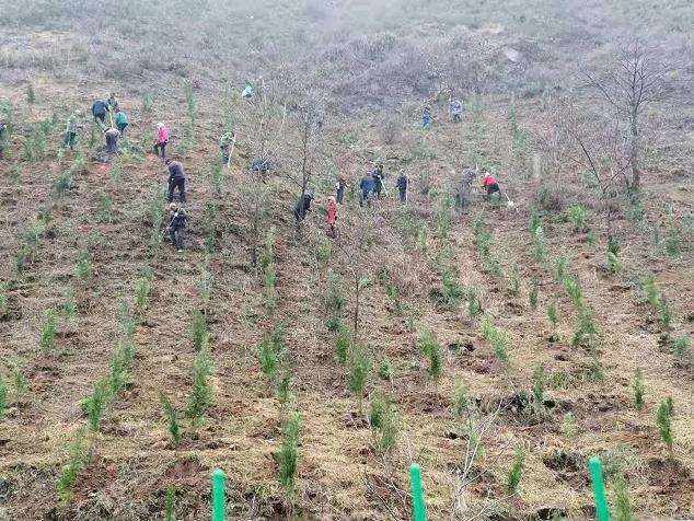 耽误园林工期怎么解决的3个措施