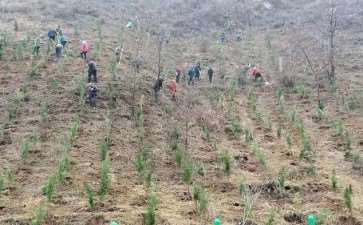 耽误园林工期怎么解决的3个措施