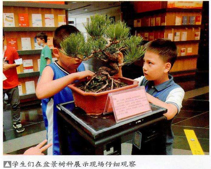 2022 佛山举办盆景艺术体验活动