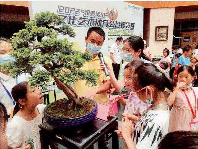 2022 佛山举办盆景艺术体验活动