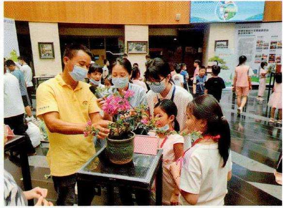 2022 佛山举办盆景艺术体验活动