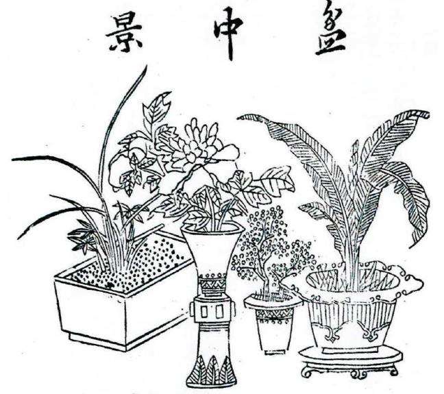 明代盆景名称的13个考略