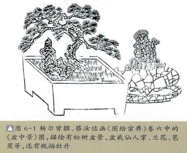 明代盆景名称的13个考略