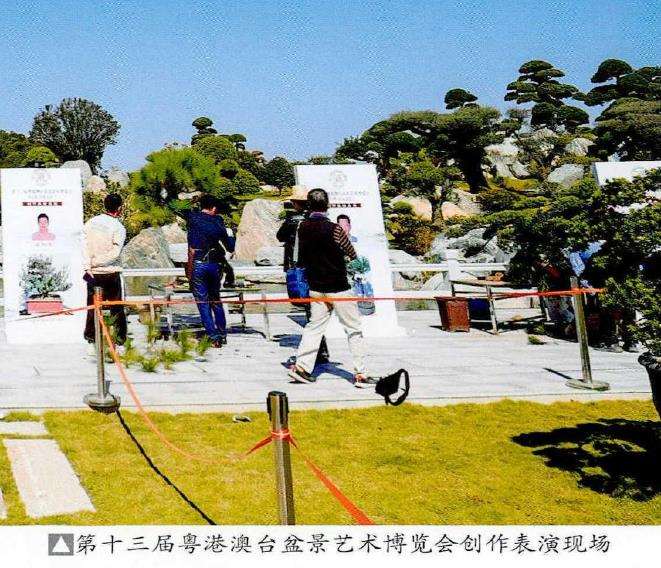 图解 捞月型盆景怎么制作的7个步骤