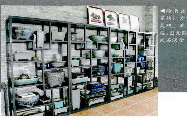 顺德盆景艺术家 欧阳国耀的人生 图片