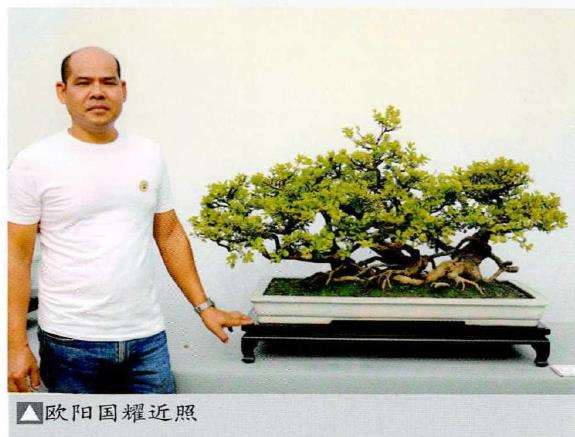顺德盆景艺术家 欧阳国耀的人生 图片