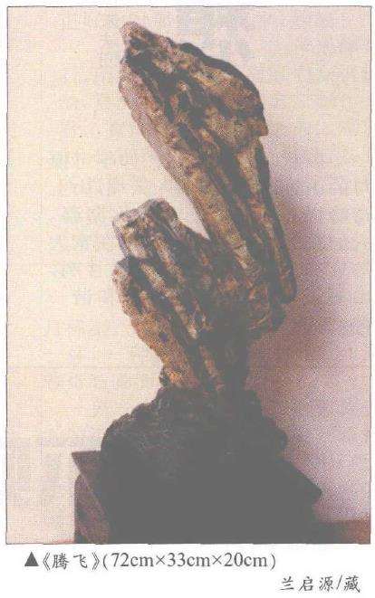 2000年九龙璧被列为全国九大名石之2