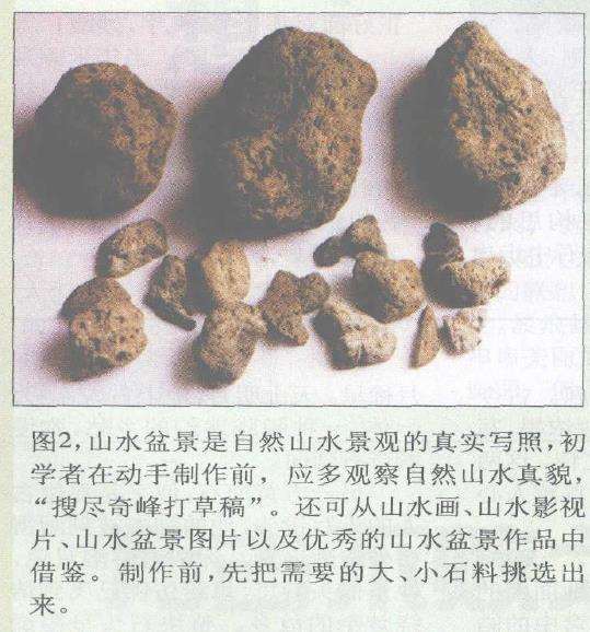 图解 浮石山水盆景怎么加工制作的13个步骤