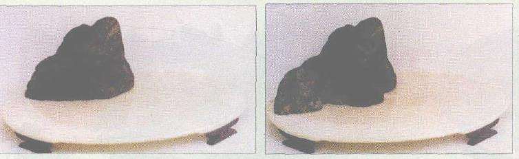 图解 浮石山水盆景怎么加工制作的13个步骤