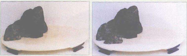 图解 浮石山水盆景怎么加工制作的13个步骤