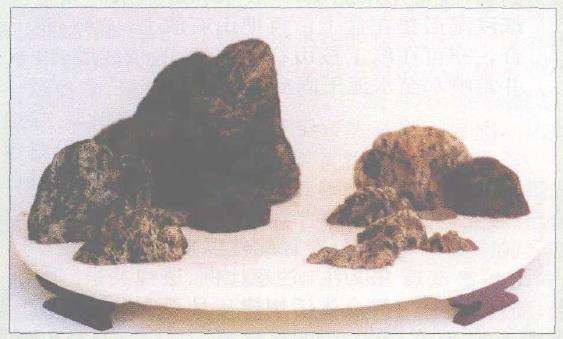 图解 浮石山水盆景怎么加工制作的13个步骤