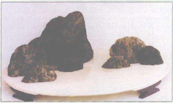 图解 浮石山水盆景怎么加工制作的13个步骤