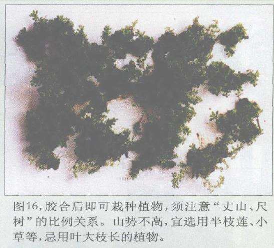 图解 浮石山水盆景怎么加工制作的13个步骤