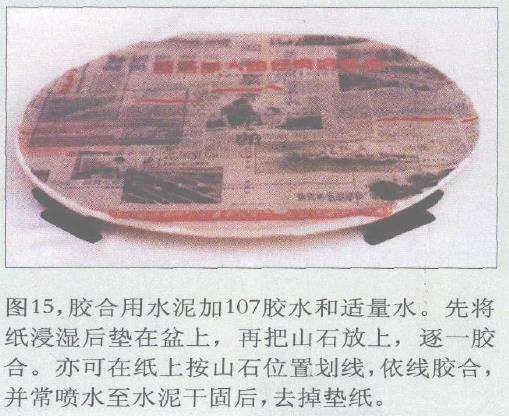 图解 浮石山水盆景怎么加工制作的13个步骤