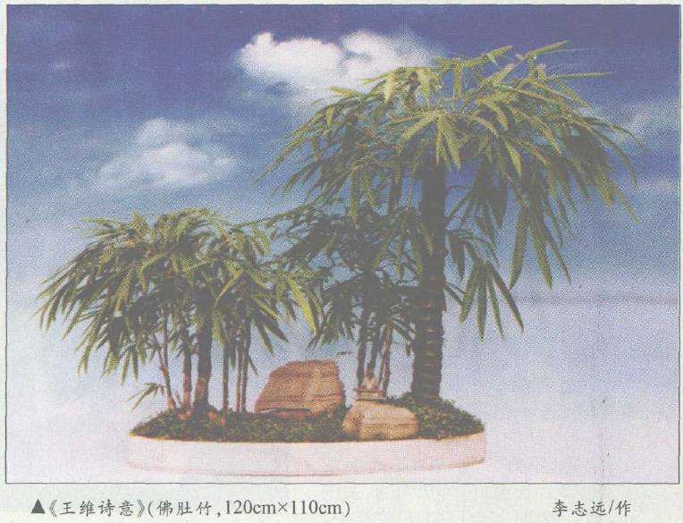 浅谈盆景《王维诗意》怎么创作的过程