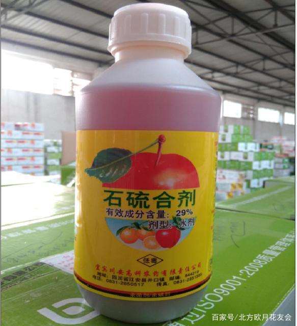 石硫合剂怎么制作盆景舍利干的6个步骤