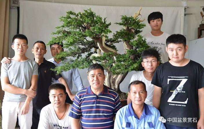 图解 吴吉成怎么制作柏树盆景的16个过程