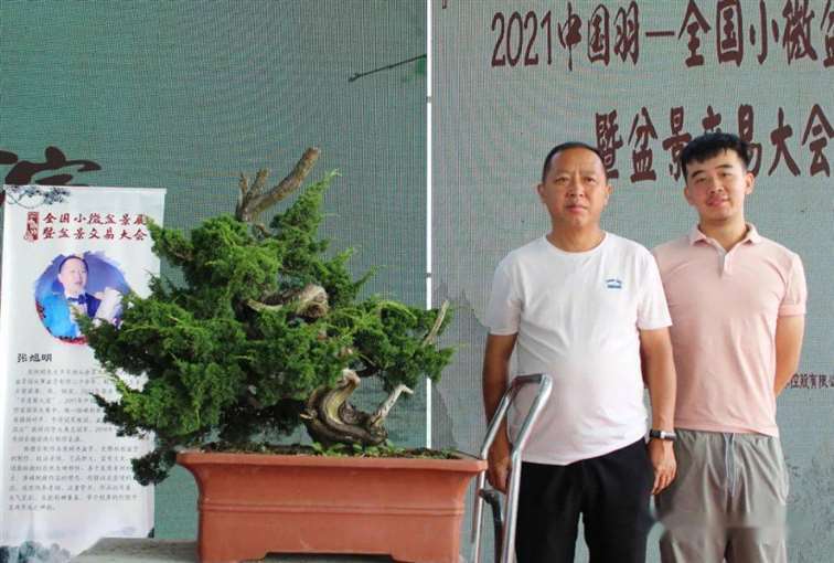 图解 张旭明怎么制作济州真柏盆景的21个过程