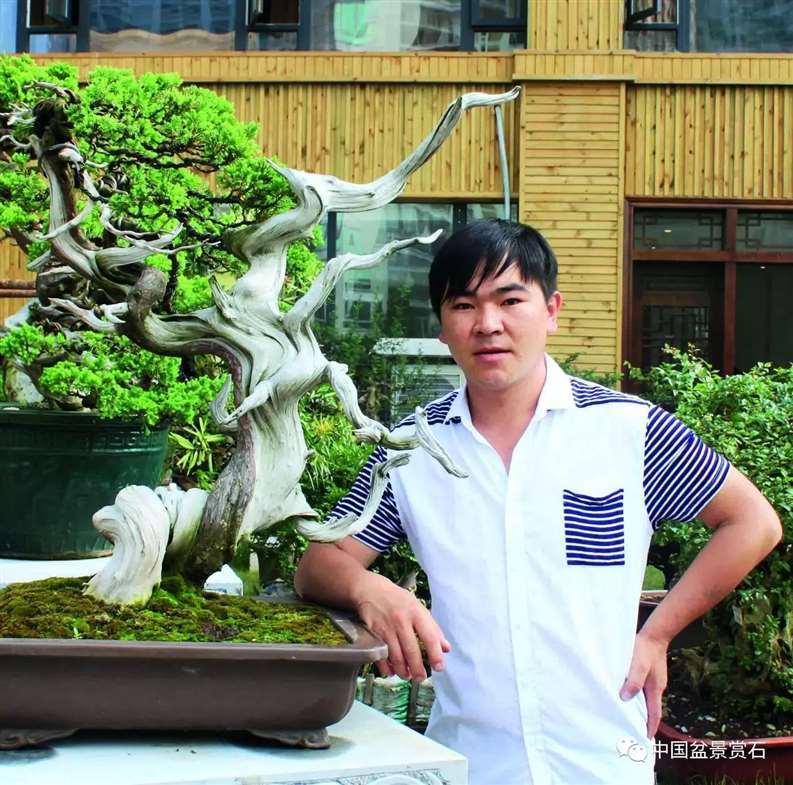 图解 陈友贵怎么制作古柏盆景的17个步骤