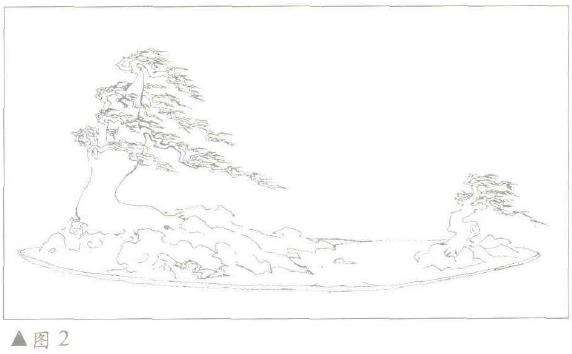 图解 朴树下山桩怎么制作苏派盆景的方法