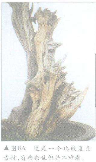 图解 怎么制作盆景舍利干及神枝的4个方法