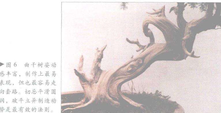 图解 怎么制作盆景舍利干及神枝的4个方法