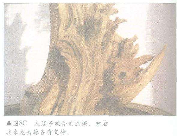 图解 怎么制作盆景舍利干及神枝的4个方法