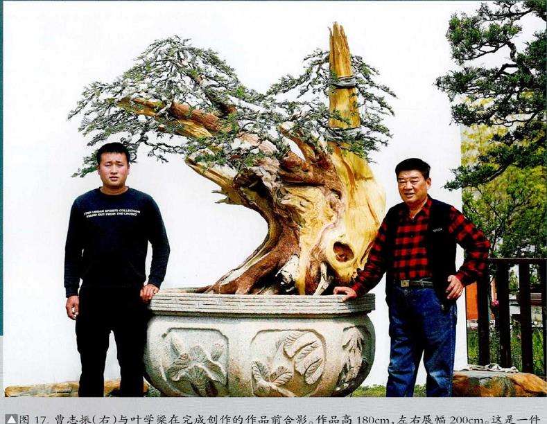 图解 武汉大师叶学梁怎么制作真柏盆景的17个过程